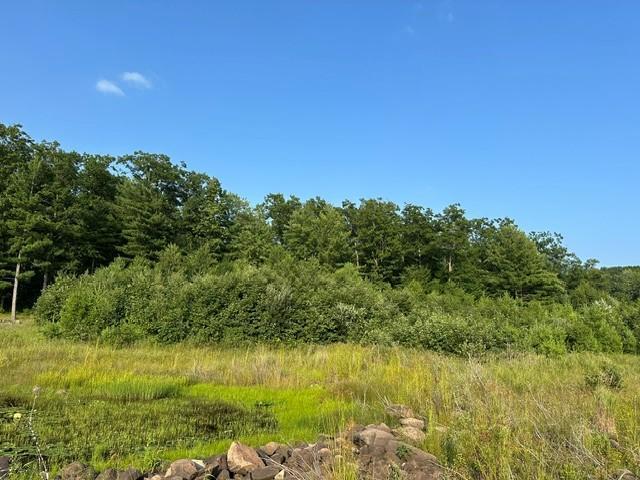 1151 27th Ave, Lakeland Twp, WI 54829 - photo 16