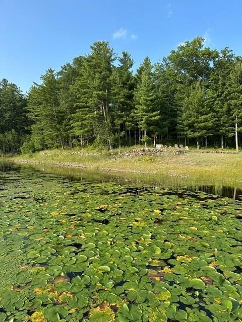 1151 27th Ave, Lakeland Twp, WI 54829 - photo 13