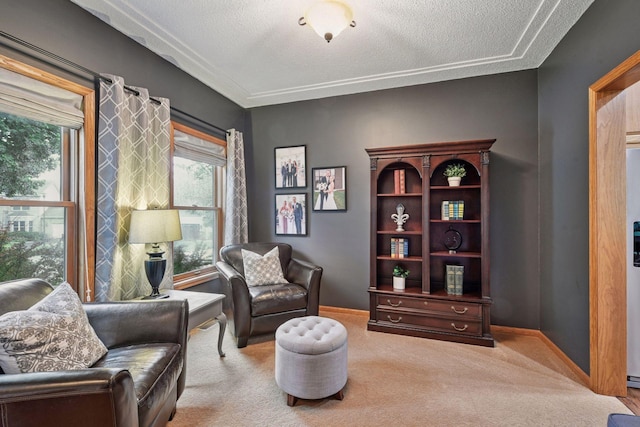 1183 Tristan Trl, Chaska, MN 55318 - photo 7