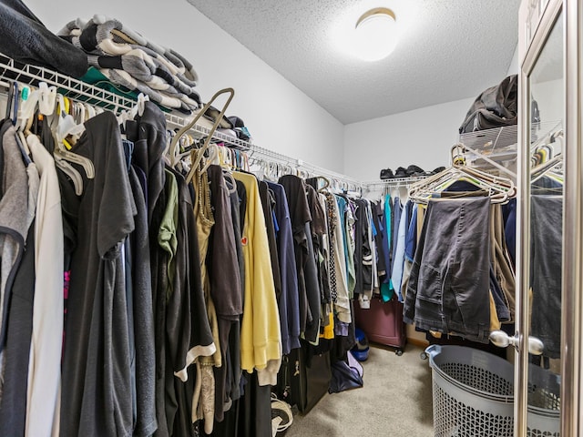 15656 Emerald Dr N Unit 1, Hugo, MN 55038 - photo 17