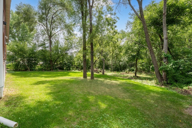 3233 Welch Ct SE, Rochester, MN 55904 - photo 26