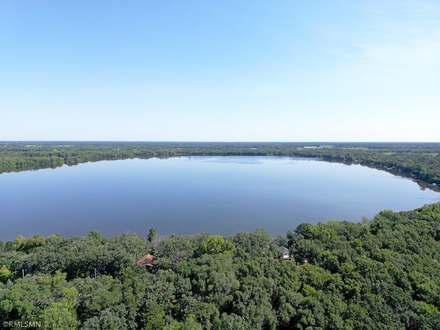 7253 100th Ave SE, Clear Lake, MN 55319 - photo 3