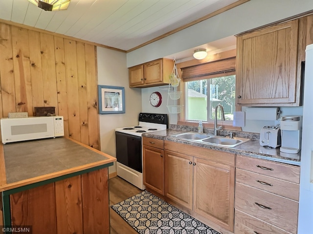 7253 100th Ave SE, Clear Lake, MN 55319 - photo 5
