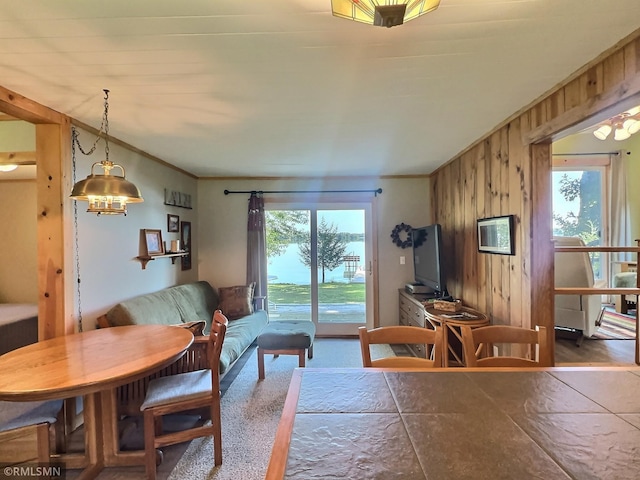 7253 100th Ave SE, Clear Lake, MN 55319 - photo 7