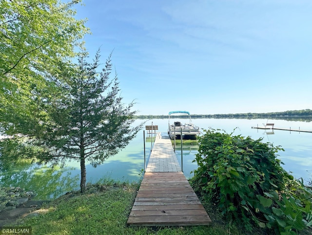 7253 100th Ave SE, Clear Lake, MN 55319 - photo 16