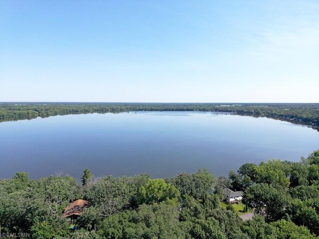 7253 100th Ave SE, Clear Lake, MN 55319 - photo 20
