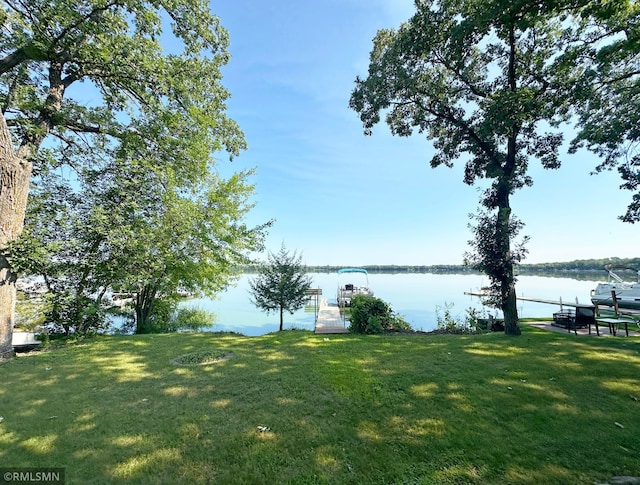 7253 100th Ave SE, Clear Lake, MN 55319 - photo 23