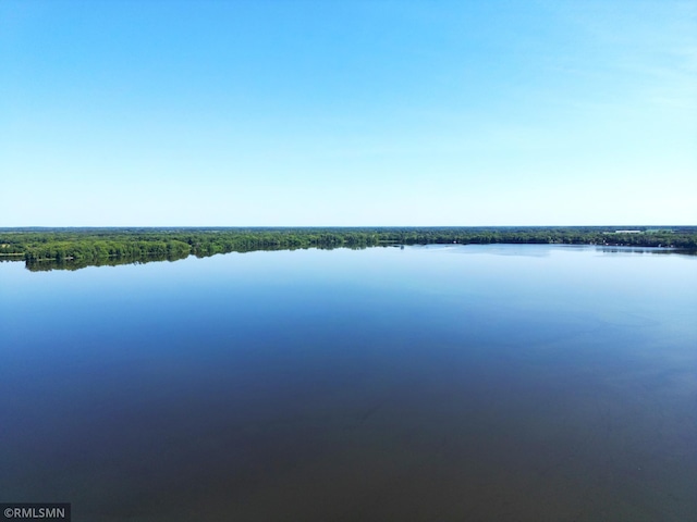 7253 100th Ave SE, Clear Lake, MN 55319 - photo 25