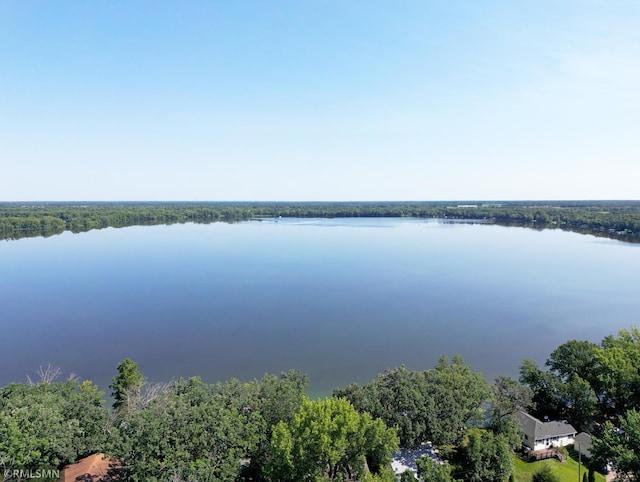 7253 100th Ave SE, Clear Lake, MN 55319 - photo 26