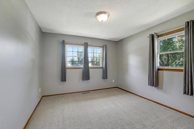 1022 5th St W, Hastings, MN 55033 - photo 16