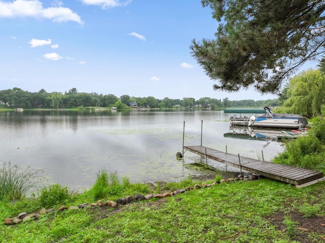 28562 Tiger St NW, Spencer Brook Twp, MN 55398 - photo 4