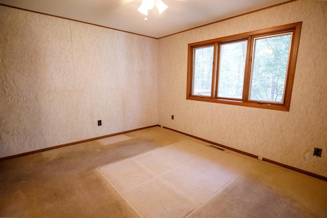 13108 Ossipee Rd, Center Twp, MN 56465 - photo 11