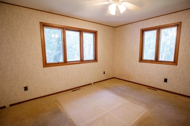 13108 Ossipee Rd, Center Twp, MN 56465 - photo 12