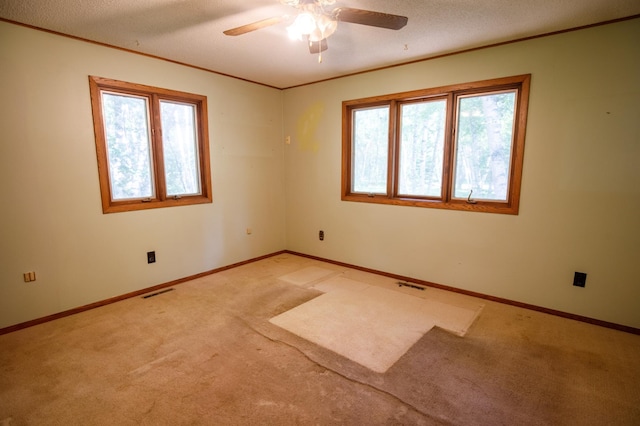 13108 Ossipee Rd, Center Twp, MN 56465 - photo 14