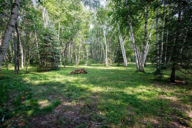 13108 Ossipee Rd, Center Twp, MN 56465 - photo 27