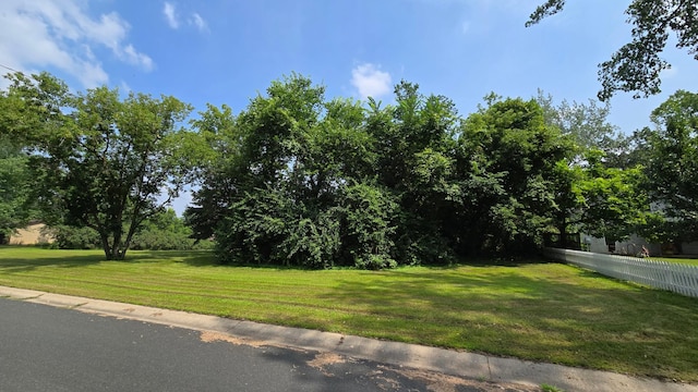 TBD Bluff St, Clearwater, MN 55320 - photo 4