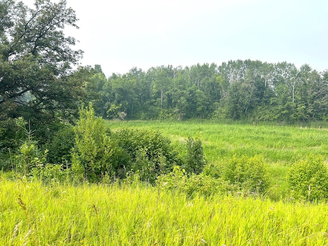 TBD Sharptail Trl NW, Baudette, MN 56623 - photo 4