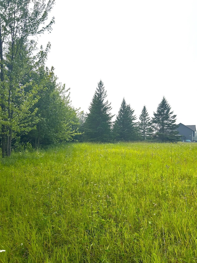 TBD Sharptail Trl NW, Baudette, MN 56623 - photo 18