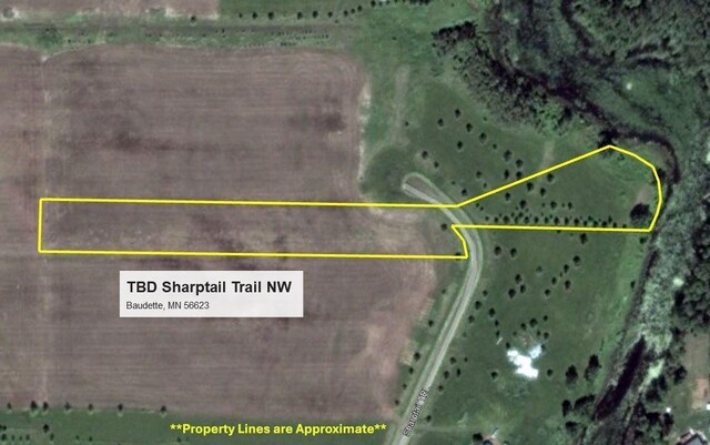 TBD Sharptail Trl NW, Baudette, MN 56623 - photo 24