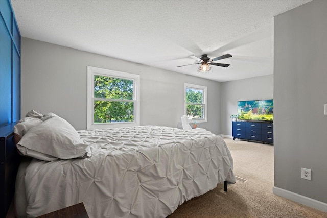 8304 69th St S, Cottage Grove, MN 55016 - photo 20