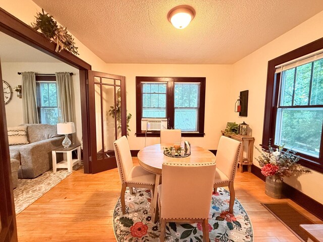 217 3rd St, Montevideo, MN 56265 - photo 11