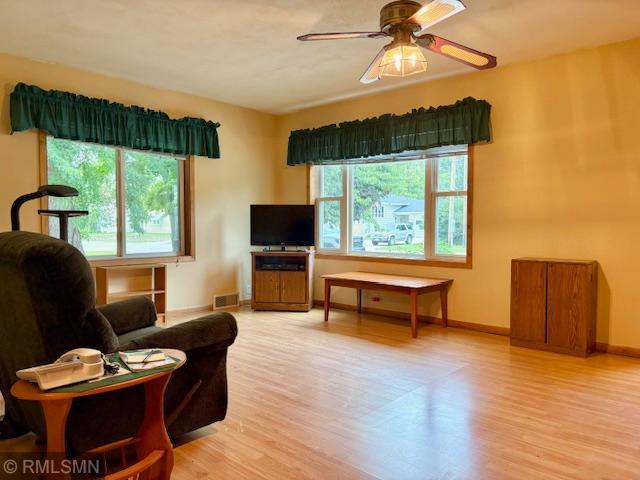 321 1st St SW, Long Prairie, MN 56347 - photo 16