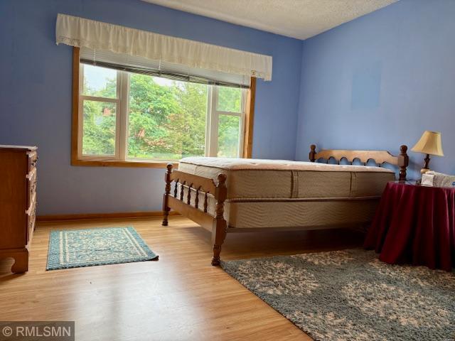 321 1st St SW, Long Prairie, MN 56347 - photo 19