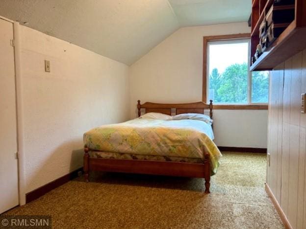 321 1st St SW, Long Prairie, MN 56347 - photo 27