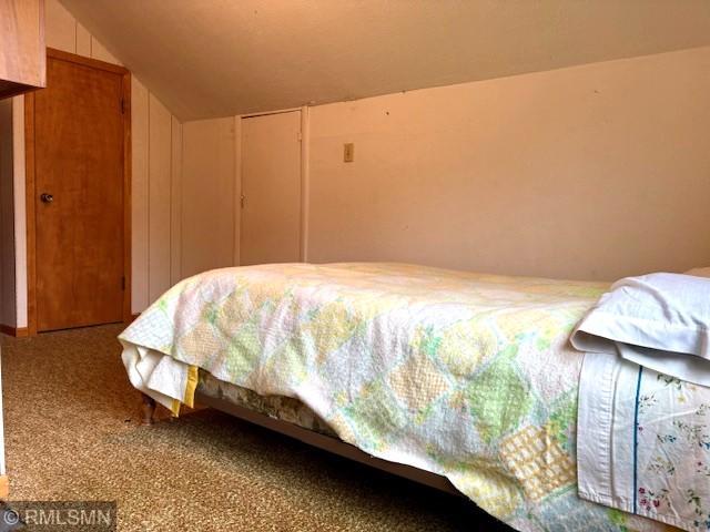 321 1st St SW, Long Prairie, MN 56347 - photo 28