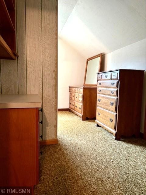321 1st St SW, Long Prairie, MN 56347 - photo 29