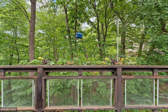 503 Chapel Ct, Eagan, MN 55121 - photo 29
