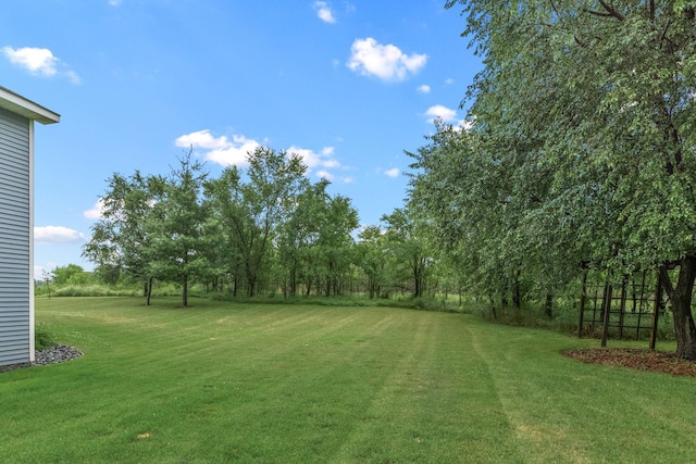 10252 270th Ave NW, Livonia Twp, MN 55398 - photo 39