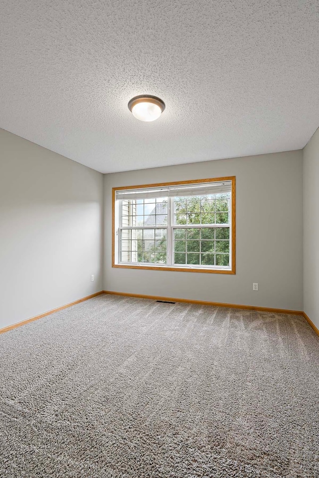 13686 Brass Pkwy Unit 55, Rosemount, MN 55068 - photo 28