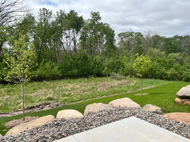 20106 Fitzgerald Trl N, Forest Lake, MN 55025 - photo 38
