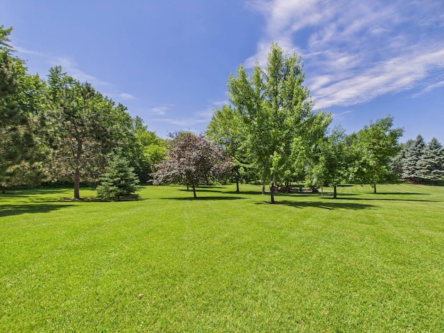2010 Highland Cir E, Mora, MN 55051 - photo 51