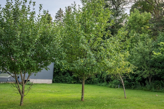 1766 150th Ave, Saint Croix Falls, WI 54024 - photo 10