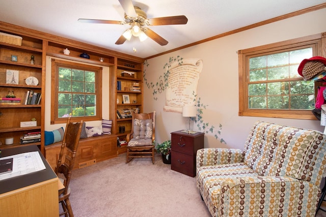 210 Mapleridge Dr, Rapidan Twp, MN 56001 - photo 10