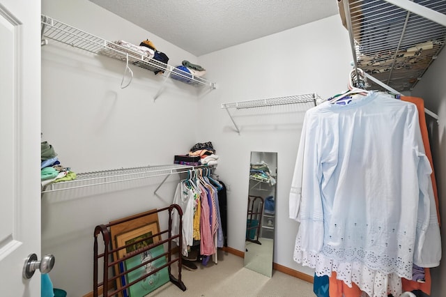 13805 53rd Ave N Unit 310, Plymouth, MN 55446 - photo 23