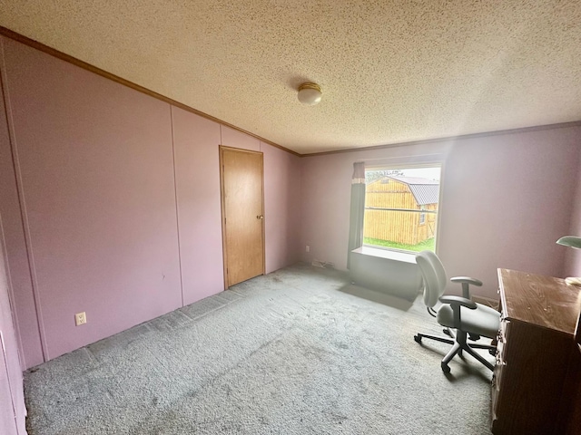 13053 State Highway 27, Beaver Twp, MN 55783 - photo 16
