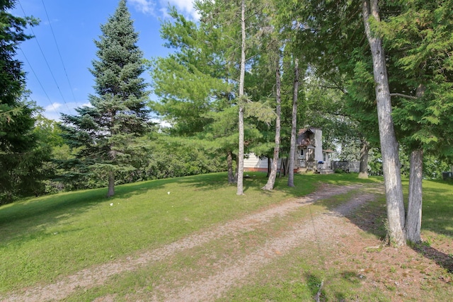 52425 Azalea Ave, Nessel Twp, MN 55080 - photo 28