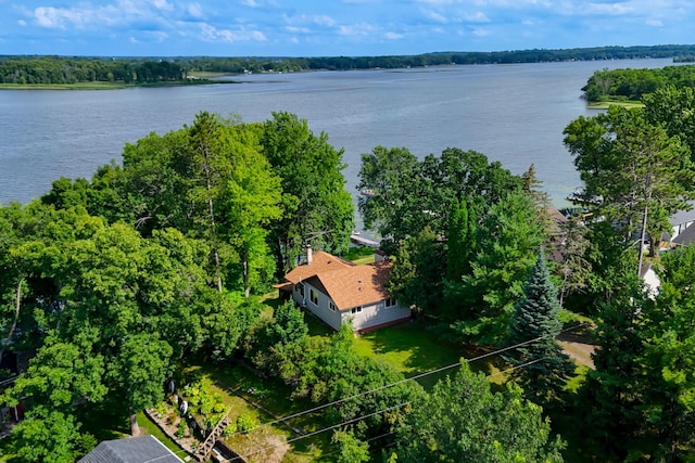 52425 Azalea Ave, Nessel Twp, MN 55080 - photo 36
