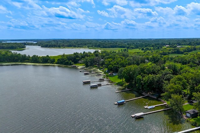 52425 Azalea Ave, Nessel Twp, MN 55080 - photo 40
