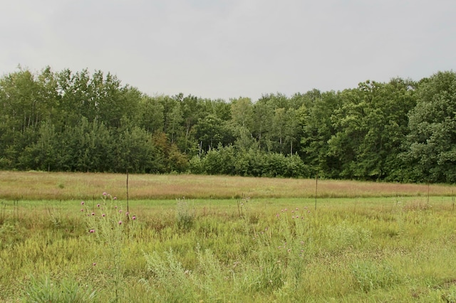 16050 280th St, Meadow Twp, MN 56477 - photo 35