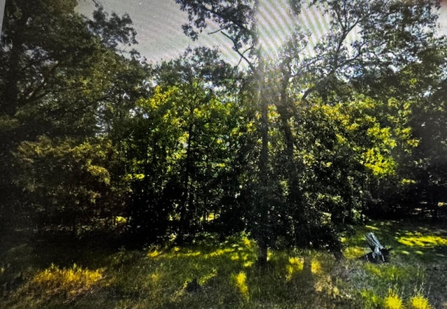 340 State 84 SW, Barclay Twp, MN 56474 - photo 1
