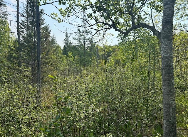 340 State 84 SW, Barclay Twp, MN 56474 - photo 2