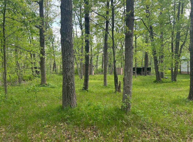 340 State 84 SW, Barclay Twp, MN 56474 - photo 5
