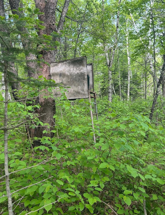 340 State 84 SW, Barclay Twp, MN 56474 - photo 9