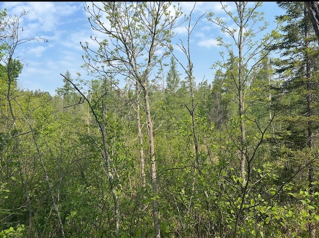 340 State 84 SW, Barclay Twp, MN 56474 - photo 10