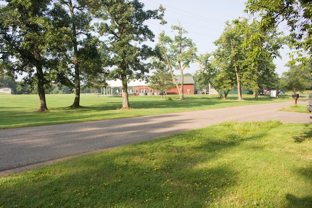 18116 Captive Lake Rd, Kathio Twp, MN 56450 - photo 4