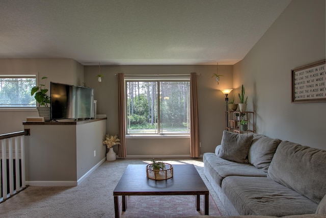 1020 Joy Cir SW, Cambridge, MN 55008 - photo 7